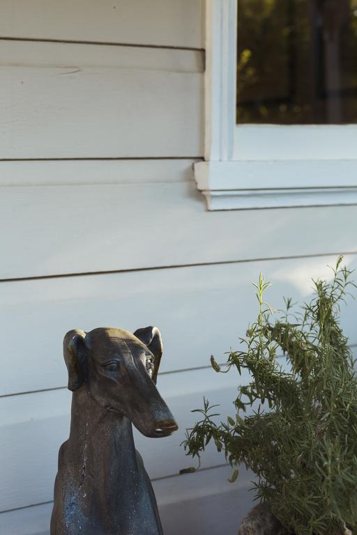 Illalangi Boutique Cottage ブラックヒース エクステリア 写真